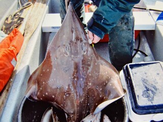 Appartamento Eresfjord  26