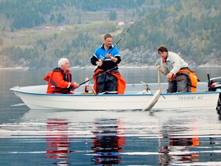 Vakantiehuis Eresfjord  37