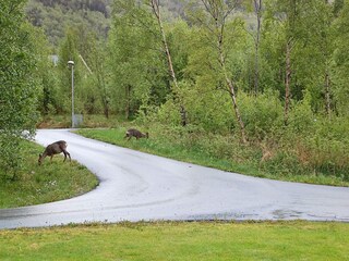 Holiday house Tomrefjord  30