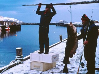 Maison de vacances Breivikbotn Enregistrement extérieur 6