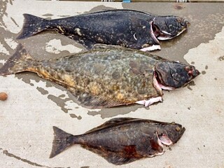 Casa de vacaciones Breivikbotn  18