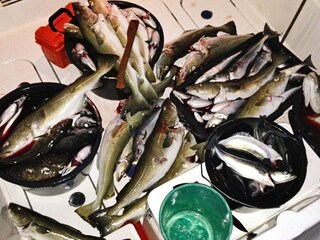 Casa de vacaciones Breivikbotn  7