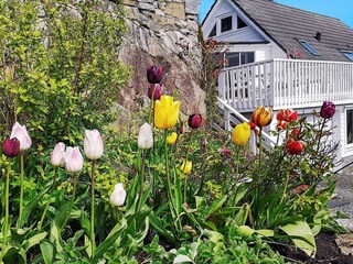 Maison de vacances Urangsvåg Enregistrement extérieur 13