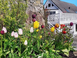 Maison de vacances Urangsvåg Enregistrement extérieur 23