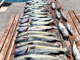 Ferienhaus Urangsvåg  57