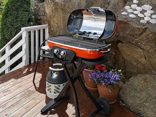 Casa per le vacanze Urangsvåg Registrazione all'aperto 11