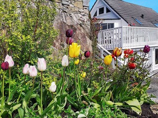Vakantiehuis Urangsvåg Buitenaudio-opname 26