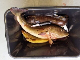 Casa per le vacanze Urangsvåg  30