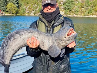 Maison de vacances Urangsvåg  41