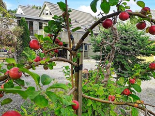 Ferienhaus Urangsvåg  25