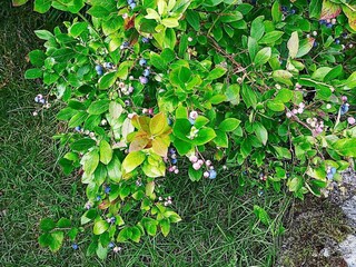 Maison de vacances Urangsvåg  59