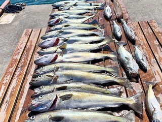 Holiday house Urangsvåg  76