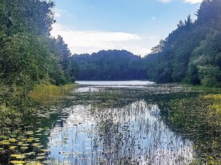 Vakantiehuis Auklandshamn  24