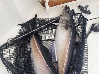 Maison de vacances Auklandshamn  26