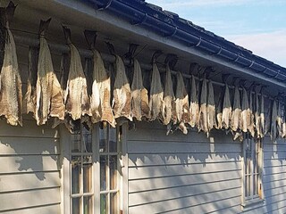 Vakantiehuis Auklandshamn  19