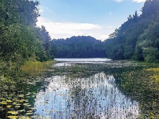 Casa per le vacanze Auklandshamn  38