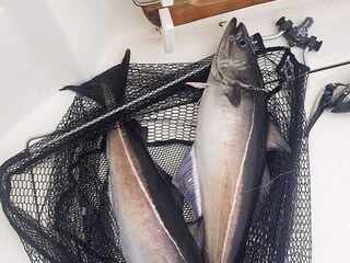 Casa per le vacanze Auklandshamn  39