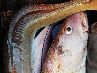 Casa de vacaciones Brattvåg  36