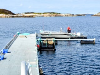 Ferienhaus Frøya  13