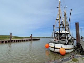 Kutter am Vareler Hafen - Frischen Fisch gibt es hier