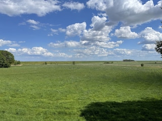 Schäfchenwolken im Frühsommer