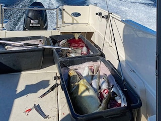 Ferienhaus Flatraket  26