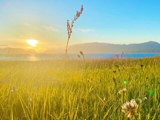 Maison de vacances Leirvik  27