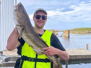 Vakantiehuis Bud  50