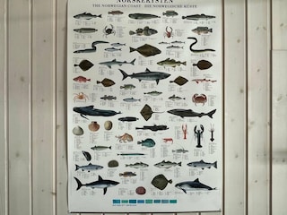 Ferienhaus Urangsvåg  28