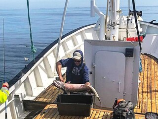 Ferienhaus Frøya  13