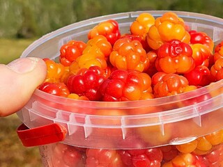 Vakantiehuis Welt  16