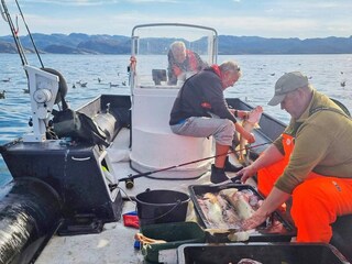 Maison de vacances Welt  19