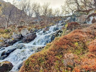 Casa per le vacanze Welt  25