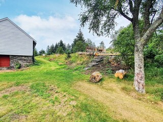 Ferienhaus Bøvågen Außenaufnahme 8