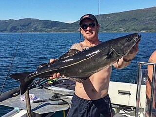 Maison de vacances Eresfjord  37