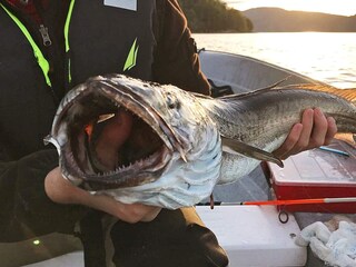 Casa de vacaciones Eresfjord  63