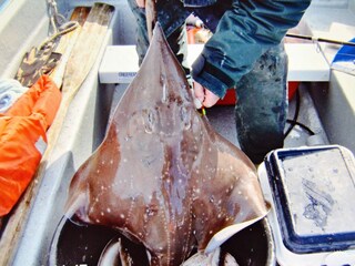 Maison de vacances Eresfjord  22