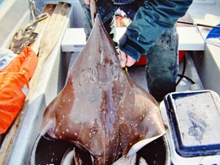 Holiday house Eresfjord  20