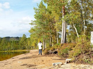 Vakantiehuis Eresfjord  21