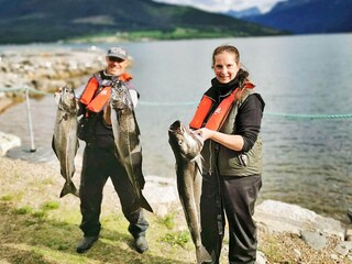 Casa per le vacanze Eresfjord  41