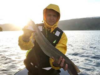 Vakantiehuis Eresfjord  42