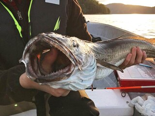 Vakantiehuis Eresfjord  43