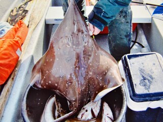 Maison de vacances Eresfjord  17