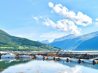 Vakantiehuis Eresfjord  17