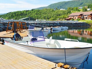 Vakantiehuis Eresfjord  57