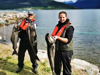 Casa per le vacanze Eresfjord  45