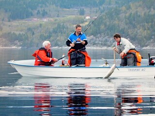 Vakantiehuis Eresfjord  20