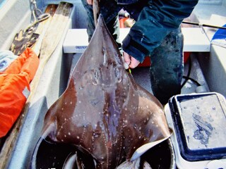 Casa de vacaciones Eresfjord  59