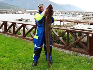 Apartamento Eresfjord  26