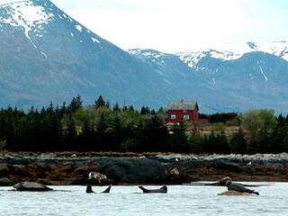 Casa de vacaciones Sandøy  10